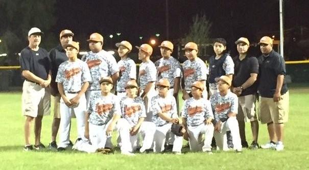 epall 12u all-stars 2015.jpg
